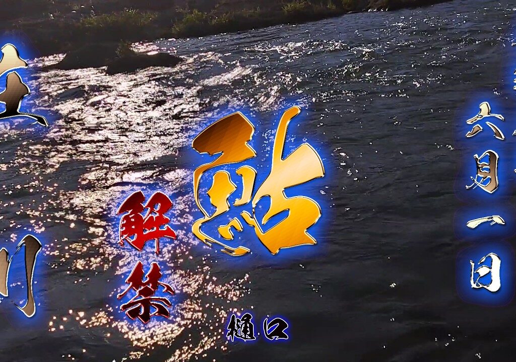 【祝 鮎解禁】庄川 鮎【富山釣り】