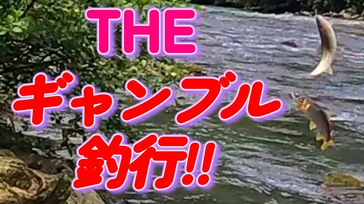 【鮎釣り】のるか！そるかの大バクチ!!