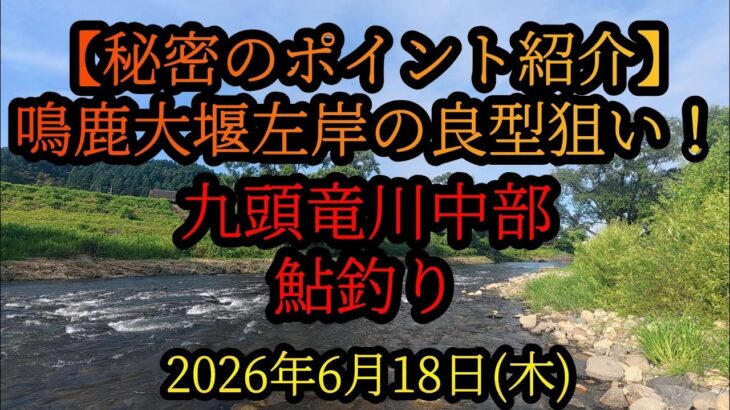 【秘密のポイント紹介】九頭竜川中部鮎釣り　鳴鹿大堰左岸の良型狙い！