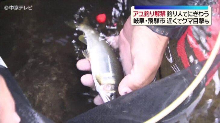 アユ釣りが解禁　釣り人でにぎわう　クマへの警戒呼びかけも…　岐阜・飛騨市の宮川