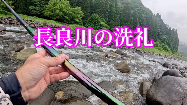 長良川の洗礼。初挑戦の友釣りは甘くなかった…