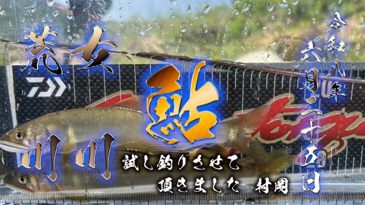 【村上 鮎】女川・荒川で鮎の試し釣り
