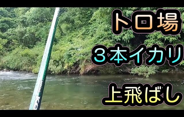 トロ場。３本イカリ。上飛ばし。