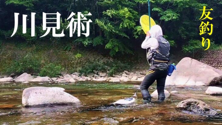 鮎釣り　釣れる釣れないはここで決まる／飛騨川漁協 白川