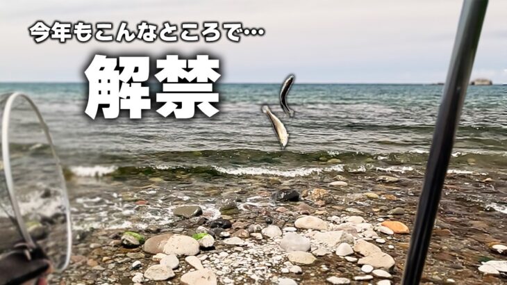 【解禁】たぶん世界一下流の鮎釣り