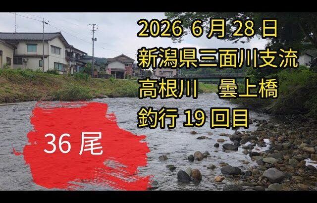 夕方入れ掛かり！